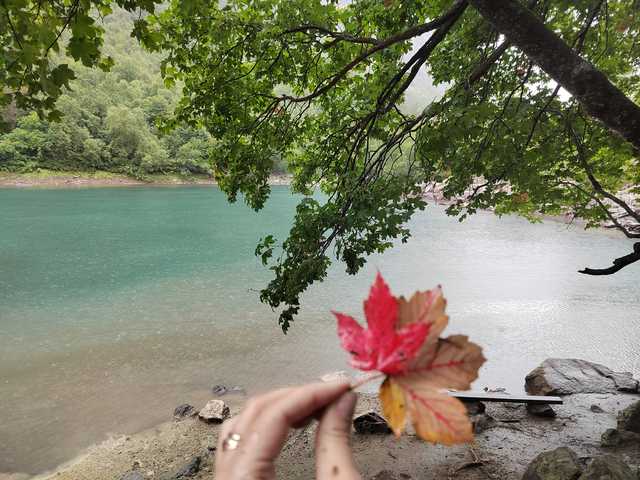 Foto do perfil _GoodGirl_