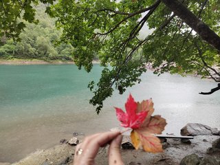 Chat de vídeo erótico _GoodGirl_