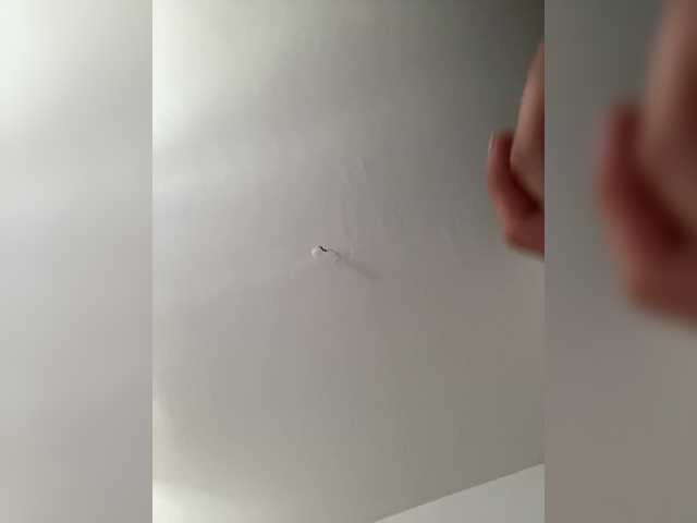 Capturas de tela de transmissão Vmeste