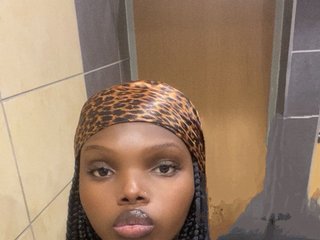 Chat de vídeo erótico Wildcata